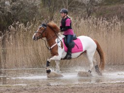 2016 TREC Træning 16 april